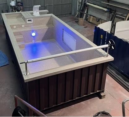 Un conteneur de 6 mètres transformé en piscine